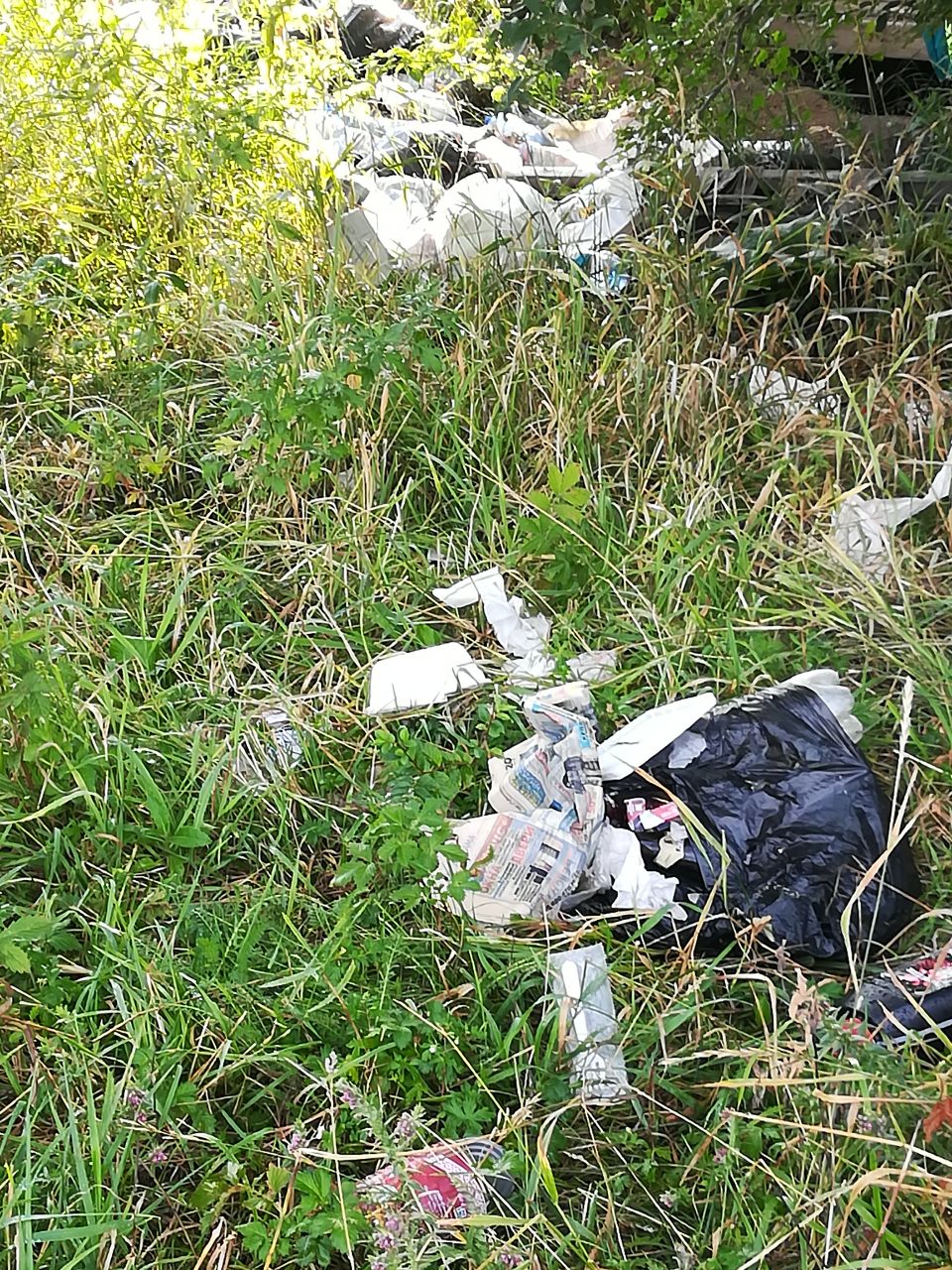 Приемщики ягод и фруктов устроили стихийную свалку на Ай-...