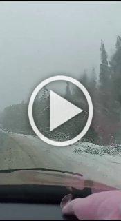 Дикий снегопад на трассе Кодинск - Богучаны. 