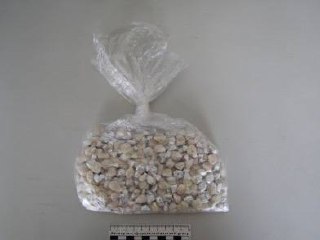 С начала года в Канске задокументировано около 230...