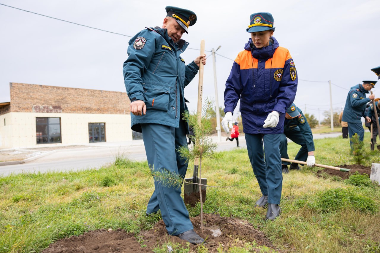 Сосновую аллею заложили в Черногорске Здесь высадили 300...