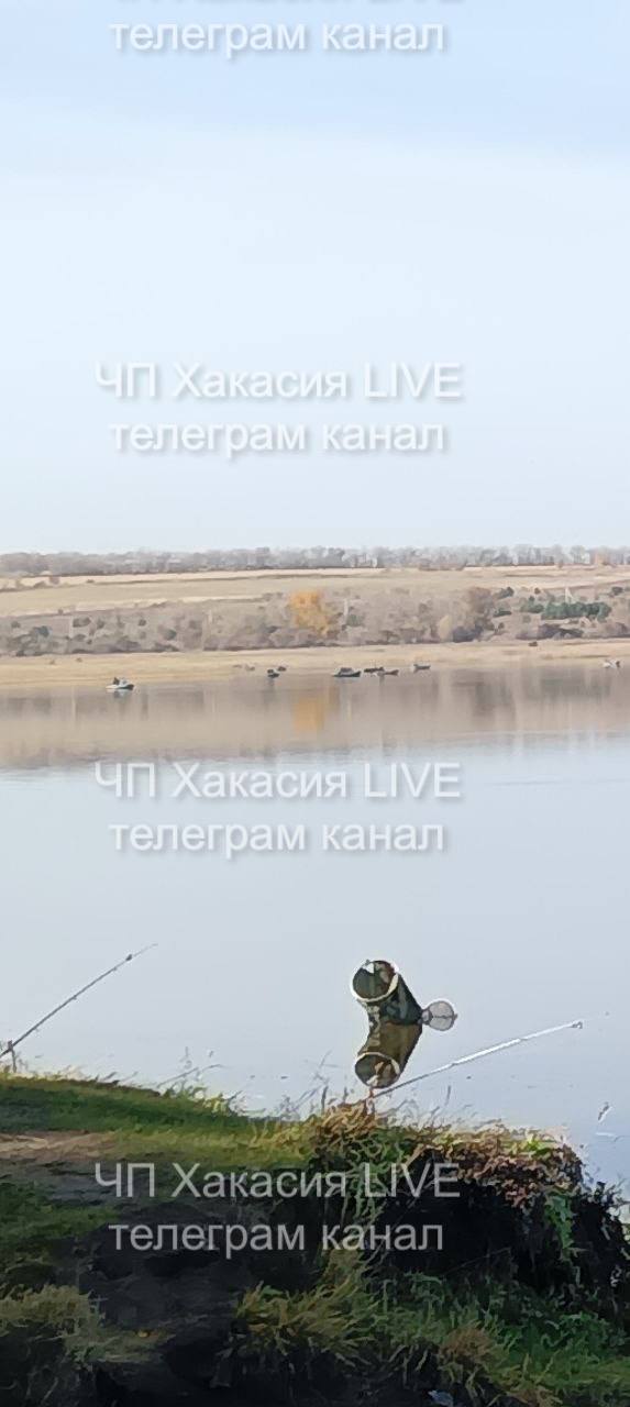 Заполонили рыбаки с удочками и сетями весь берег...