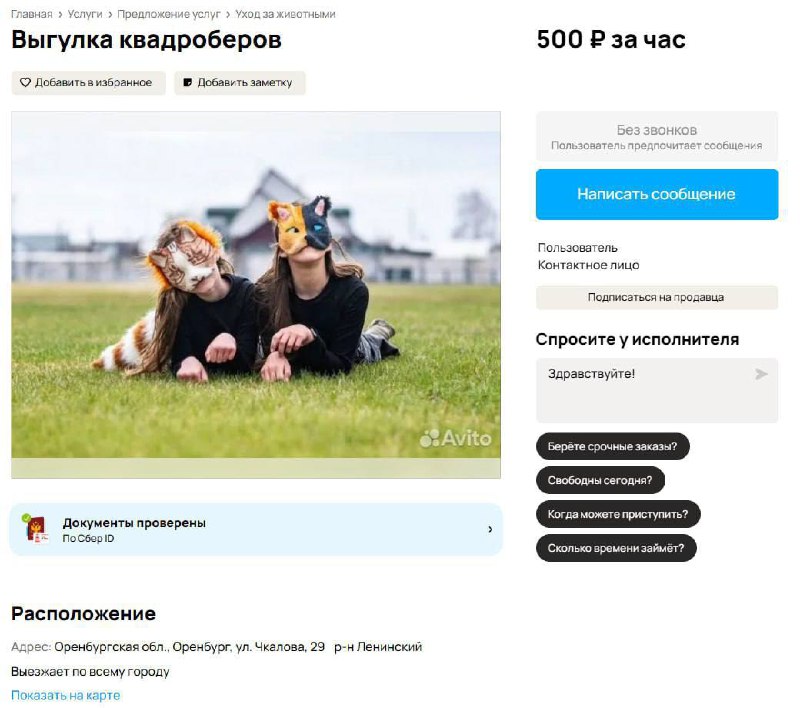 В Оренбурге появилась услуга по выгулу квадроберов за 500...