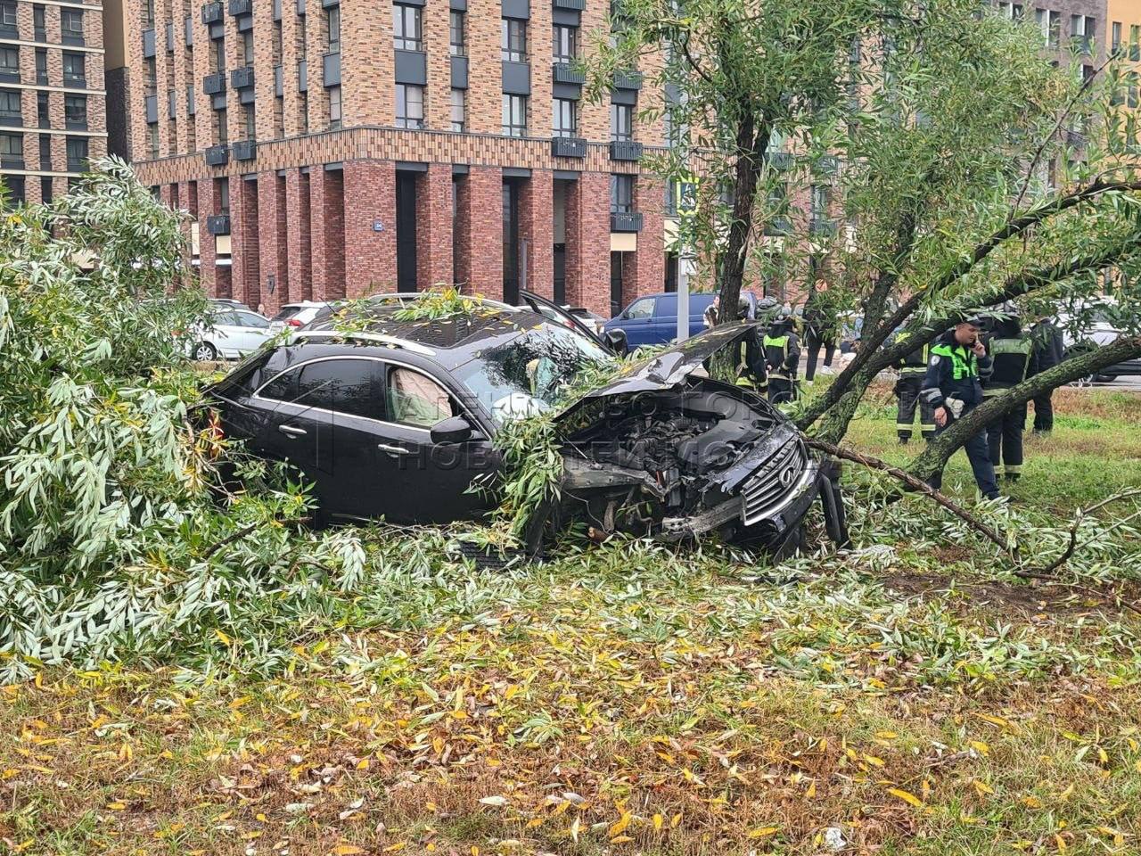 Водитель Infinti вылетел на троутар и снёс дерево в Москве, а сразу после ДТП ушёл в барбершоп