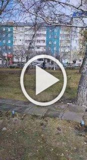 Ломал дорожный знак и не реагировал на замечания - такую...