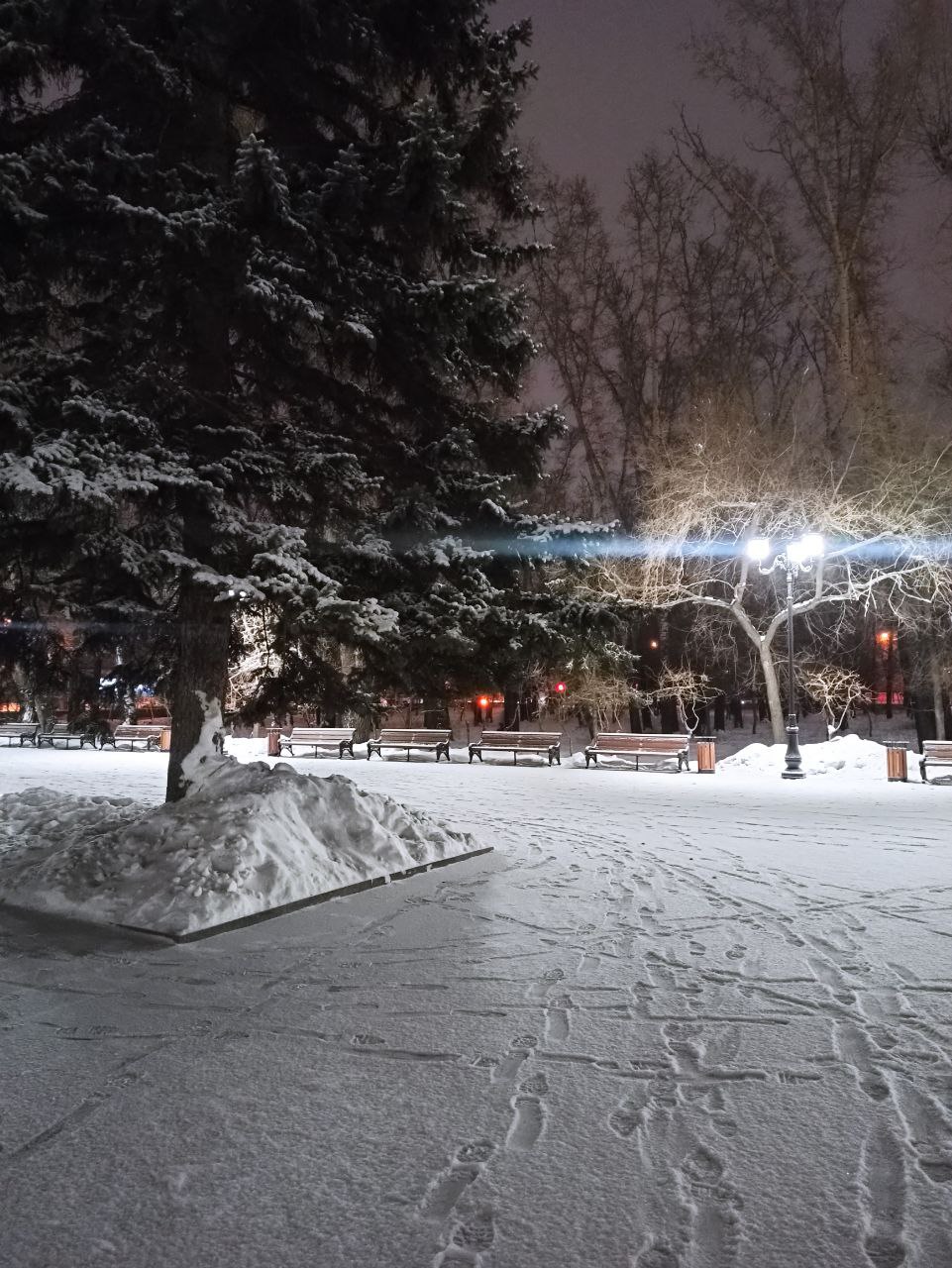 Прогноз погоды на 19 января: переменная облачность и снег
