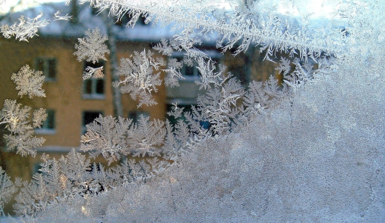 На этой неделе в Оренбуржье придут морозы до -30°🥶 Завтра...