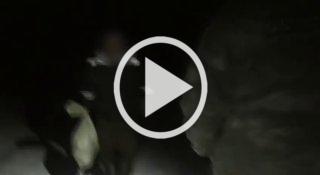 Браконьер задержан в Усть-Бюрской тайге