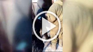 Жители улицы Садовая в Абакане напали на отловщика...