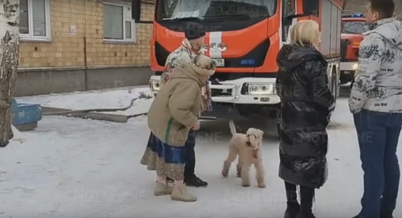Подробности пожара на Щетинкина 40: