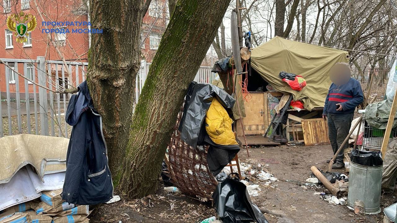 В Мещанском районе на площадке для выгула появилось...