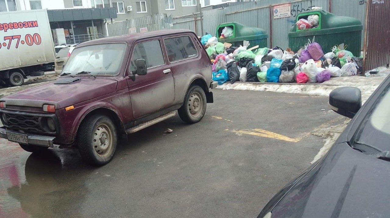 В «Природе» жалуются на оренбуржцев, паркующих машины у...