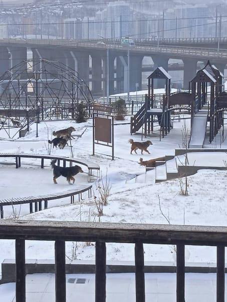 В Красноярске бывший руководитель МКУ города...