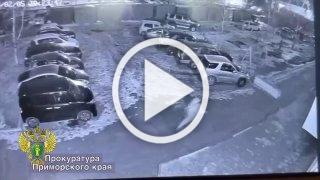 В Артёме ( Приморский край) появилось видео, как разъяренный автобусник погнался за подростком-безбилетником, а затем избил его