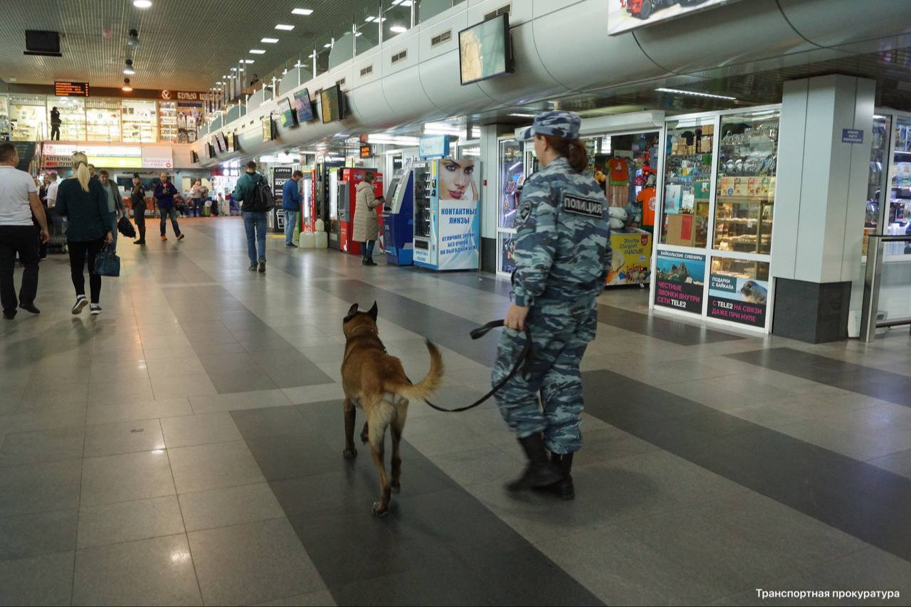 Служебная собака нашла в аэропорту Иркутска наркотики...