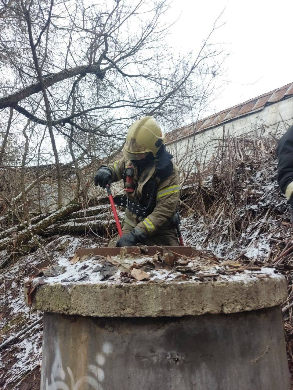 Собачка провалилась в коллектор на глубину 4 метра в...