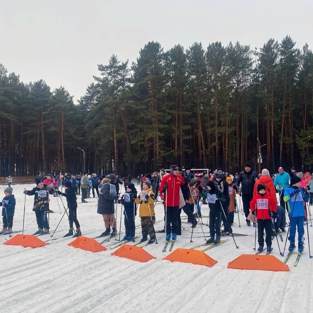 15 февраля в эко-парке «Сосновый бор» пройдёт Всероссийская акция «Лыжня России»