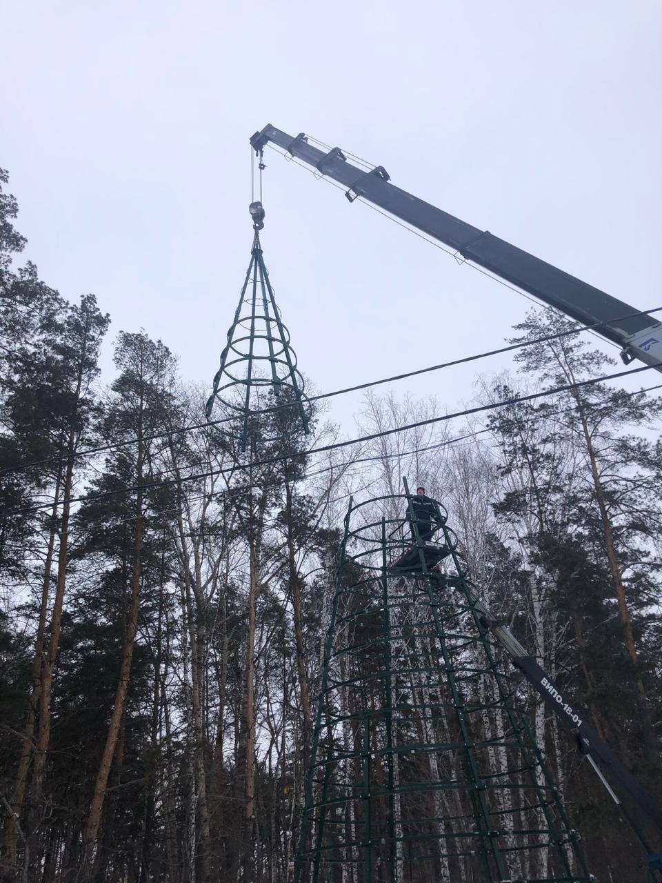 В Новосибирске сегодня разобрали последние елочки <tg-...