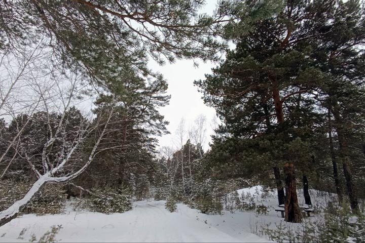 По данным Хакасского гидрометцентра, в республике 16...