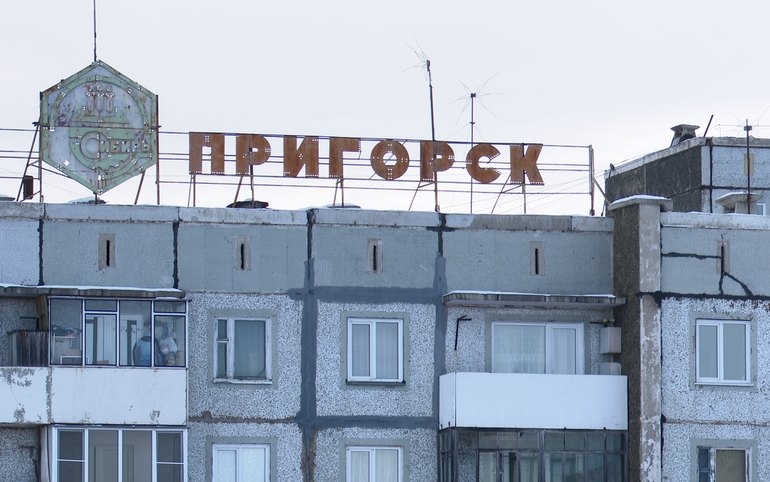 Острая кишечная инфекция у детей в Пригорске не связана с...