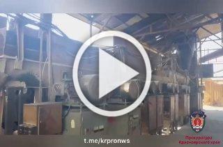 Неэкологичная древесина: ООО «Гуи-Жень-И» заплатит 20 млн руб. ущерба  атмосферному воздуху от производства древесного угля