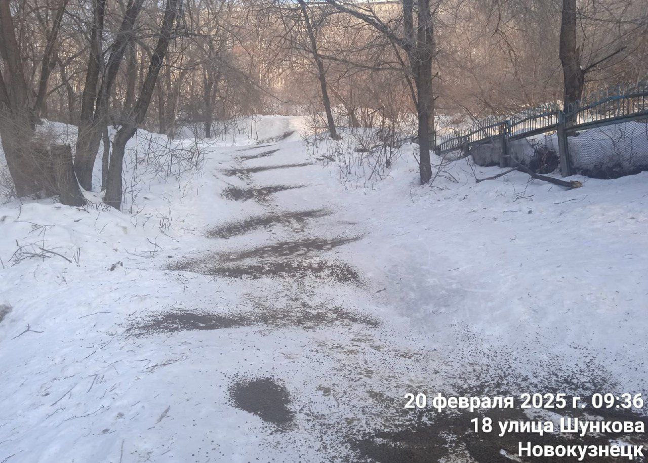 В Кузнецком районе Новокузнецка педагоги попросили ГИБДД...