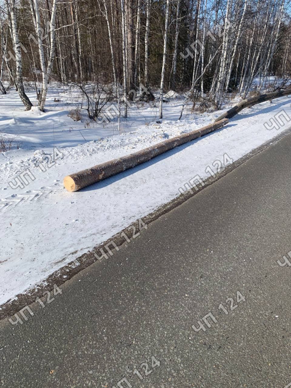 Падение бревна на ходу с лесовоза трасса Дзержинское-...