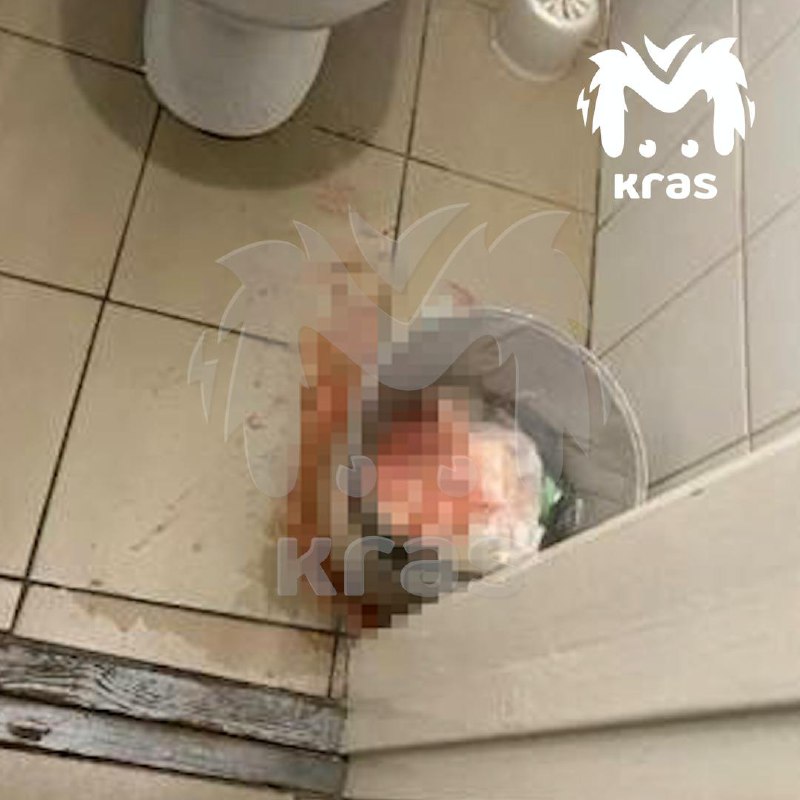 Студентка тайно родила в туалете общежития канского...
