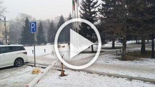 Стаю собак в центре города, на Театральной площади сняли...