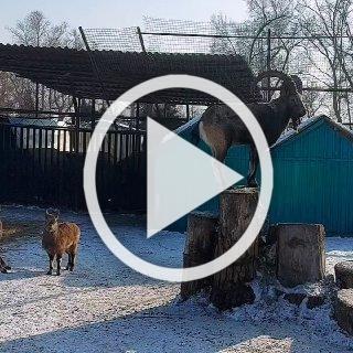 На час дольше с сегодняшнего дня работает Абаканский...
