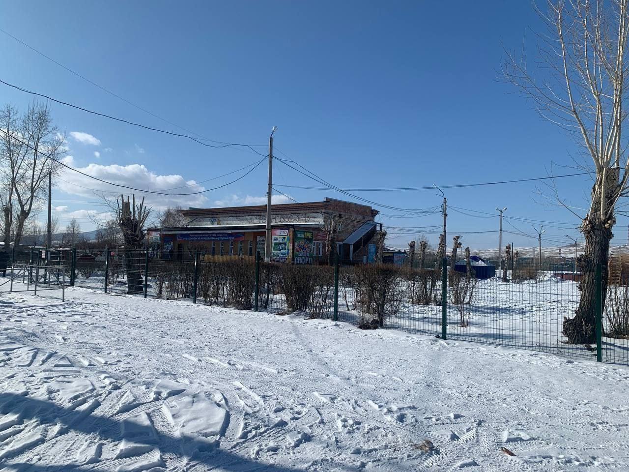 Стая собак набросилась на ребенка в Ширинском районе...