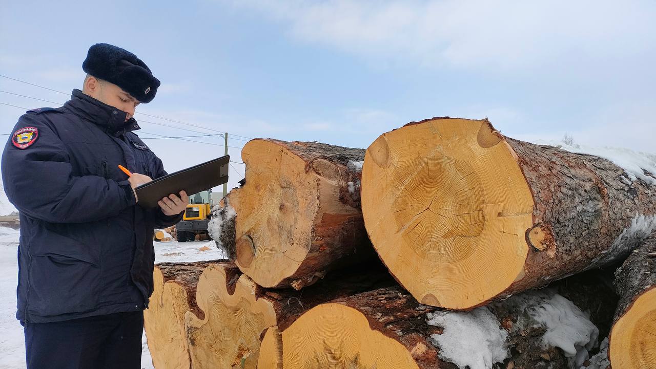 В Красноярском крае за три дня проверили 1399 иностранцев.  