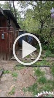 Подписчик заметил вот такое объявление, которое висит на...