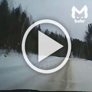 Водитель авто чудом спасся, когда гружёный лесовоз впечатал в землю его машину в Иркутской области.