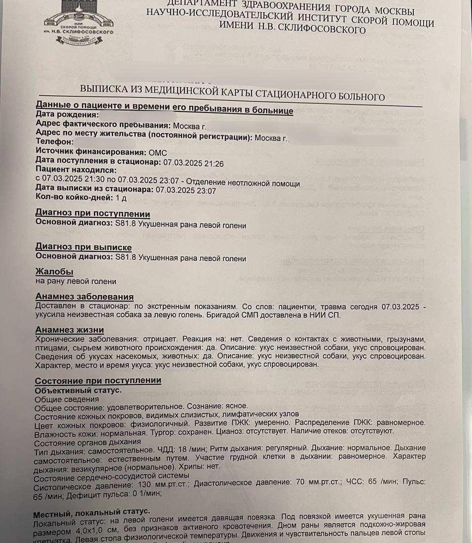 В Москве женщина пострадала от укуса собаки породы американский булли, которая гуляла без намордника. 