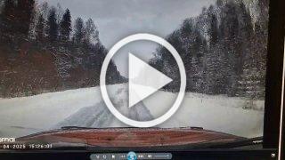 Апрельский снегопад сыграл злую шутку