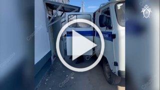 Житель Тайшета, натравивший ротвейлера на полуторагодовалую девочку, отправится в колонию на 4,5 года.