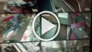 В Екатеринбурге вернули кота, который был талисманом автомагазина