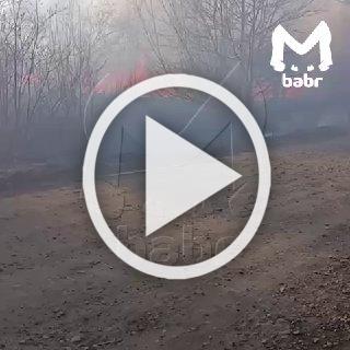 Лесной пожар в Иркутской области. Со слов очевидцев, огонь уже перекинулся на дома.