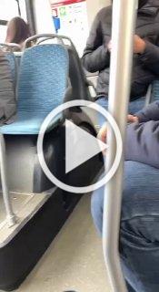 Михаил Ефремова держит обещание и передвигается по городу в общественном транспорте