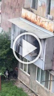 Удалёнщики уже начали праздновать майские и жарят шашлык...