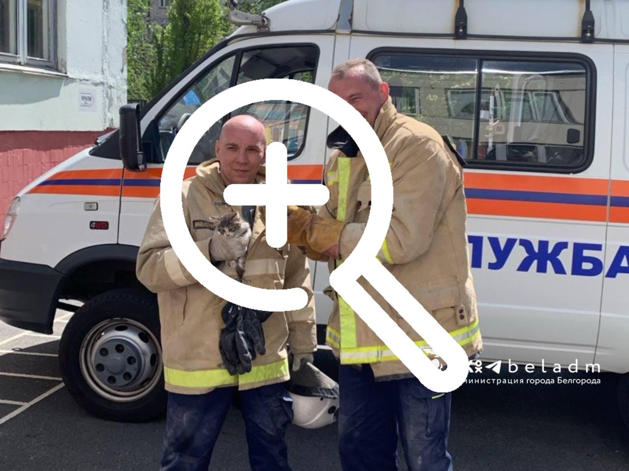 Вчера в детском саду №84 развернулась настоящая спасательная операция