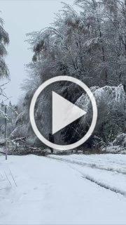 Дорога от Талдома до Жестылева под Дмитровом. Люди сами...