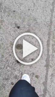 В Белово зоозащитники вступили в конфликт с отловом собак