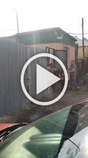 В Белово зоозащитники вступили в конфликт с отловом собак