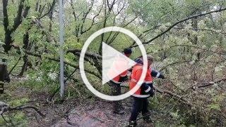 В Москве ликвидируют последствия аномального майского снегопада.