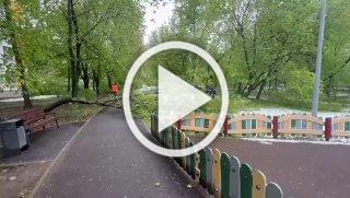 В Москве ликвидируют последствия аномального майского снегопада.