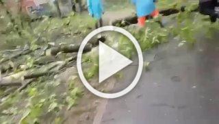 В Москве ликвидируют последствия аномального майского снегопада.