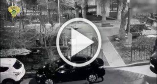Поздно вечером во дворе одного из домов по ул. Малая...