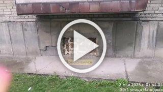 В Новосибирске котов замуровали в подвале многоквартирного дома