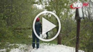 Россети назвали сроки полного восстановления...